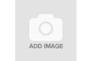  D62 Bunzlau Zoutstrooier Haantje 7,8 cm 2884