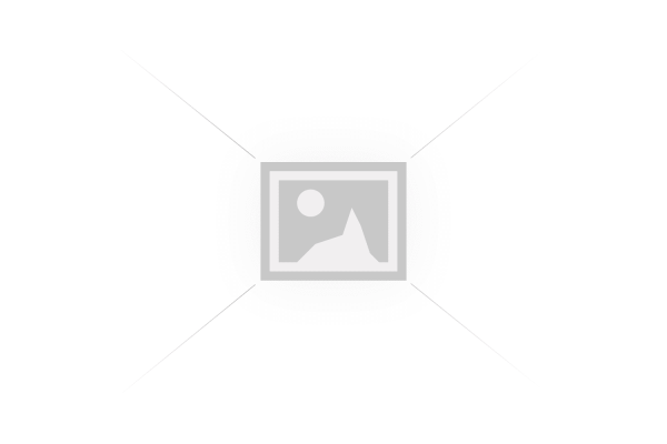  D62 Bunzlau Zoutstrooier Haantje 7,8 cm 2884 Peper en Zout